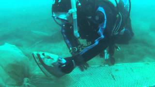 Chepstow 2013  Scuba Diving [upl. by Bounds]