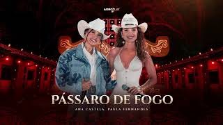 Ana Castela ft paulafernandes  Pássaro de Fogo DVD Herança Boiadeira [upl. by Stewardson]