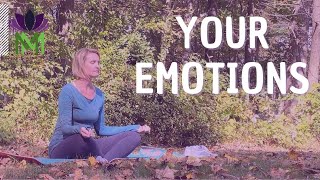 20 Minute Meditation for Acceptance and Gratitude  Beginner Meditation Series  Mindful Movement [upl. by Ahsuoj]