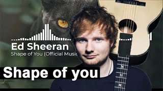 Ed Sheeran Shape of You [upl. by Lasser]