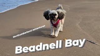 Beadnell Bay Northumberland [upl. by Whitney897]