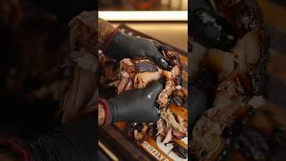 The Most Tender BBQ on the Planet pulledpork smokedpork bbq bbqfood tftibbq [upl. by Nonnaer]