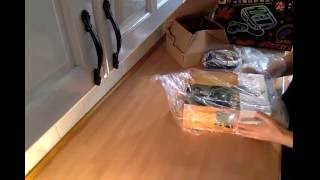 Unboxing Visteon Dockable Entertainment feat GameBoy Advance [upl. by Stelu]