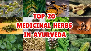 20 Best Medicinal Plants and Their Uses in Ayurveda [upl. by Oniliuqnart]