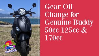 Buddy 50 125 170 Gear Oil Change DIY [upl. by Nnaeiram]