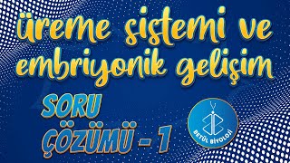 Üreme Sistemi ve Embriyonik Gelişim Soru Çözümü 1  AYT Biyoloji [upl. by Odnaloy]