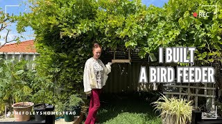 I built a bird feeder  Australian Suburban Homestead [upl. by Lipps579]