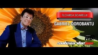 Gabriel Dorbantu Floarea Soarelui [upl. by Aihsein]