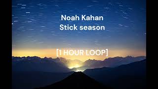 Noah Kahan  Stick season 1 HOUR LOOP [upl. by Elockin]