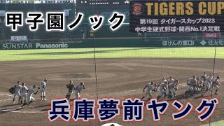 『兵庫夢前ヤング 甲子園ノック』タイガースカップ2023 2023年11月26日 [upl. by Leiuqese]