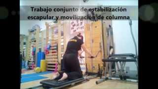 ejercicios con reformer mas springboard [upl. by Nosnor]