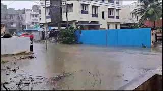 Chennai Flood in Madipakkam [upl. by Halford72]