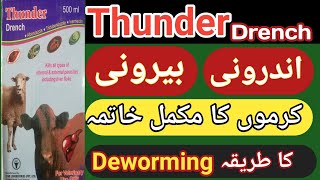 Thunder Drench Kill All Type Of Internal and External Parasites Including Liver Fluke  Urdu Hindi [upl. by Anrim]