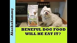 Beneful Dog Food Review [upl. by Dame]