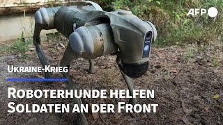 Ukraine Roboterhunde helfen Soldaten an der Front  AFP [upl. by Lattonia]