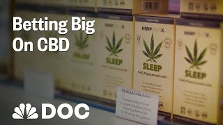 Betting Big On CBD How To Start A Business Few People Understand  NBC News [upl. by Eloci]