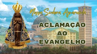 Aclamação ao Evangelho [upl. by Epilihp]