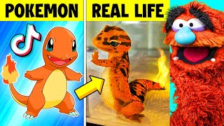 Pokémon That ACTUALLY Exist In REAL LIFE FUNNY TikTok [upl. by Meade92]