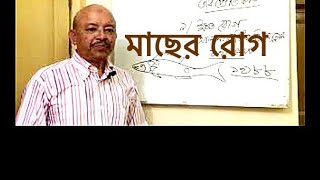 Fish disease and controll 1 । মাছের রোগবালাই ও প্রতিকার ১। Abeed Lateef [upl. by Salomon]