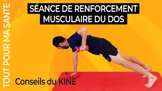 9 exercices de renforcement musculaire du dos [upl. by Odlonra98]