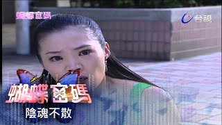 蝴蝶密碼 第 44 集 陰魂不散 Butterfly Cipher EP44 [upl. by Nylecoj]