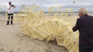 Caterpillar Strandbeest [upl. by Jurdi857]