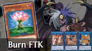 3Card Trickstar Topologic Lotus Infinite Burn Loop FTK Summoner Monk ver YuGiOh Duel Links [upl. by Monahan]