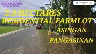 vlog 527 RESIDENTIAL RICELANDFARMLOT IN ASINGAN PANGASINAN 24HAS 700 Per sqm [upl. by Mireielle]