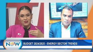 Budget 20242025  Energy Sector Trends [upl. by Teleya249]