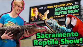 Attending the Sacramento Reptile Show [upl. by Memberg]