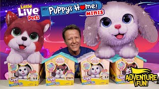 6 Little Live Pets My Puppy’s Home Minis Build Home amp Puppy Magically Arrives Toy Adventure Fun [upl. by Ky]