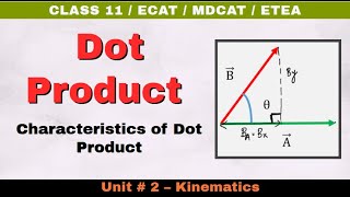 Dot Product  Scalar Product  Characteristics  Unit 2 Kinematics  Class 11 Physics TP11 20 [upl. by Trabue]