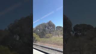 Waurn Ponds to Southern Cross VLine VLocity Train Journey Oct 2024 windowview melbourneaustralia [upl. by Marcela]