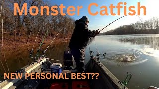 6 minutes of Catfish awesomeness Monster catfish [upl. by Consolata]