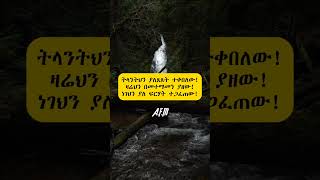 ነገህን ያለ ፍርሃት ተጋፈጠውmotivation inspirationalquotes motivationalquotes mindset foryou shorts [upl. by Dorothi]