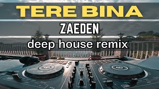 TERE BINA  ZAEDEN  BOLLYWOOD DEEP HOUSE MIX  HINDI LOVE SONGS REMIX [upl. by Kevon333]