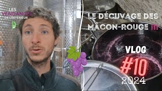 Vlog vigneron 10  Les décuvages s’enchaînent  Je réponds à une question vinification Mâcon Rouge [upl. by Ludwigg257]