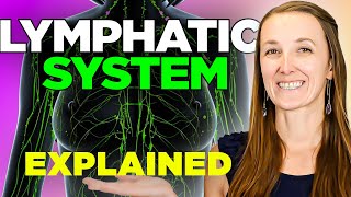 Understanding the Immune System in One Video [upl. by Liss]