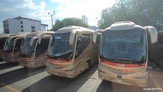 Viajando en un Scania Irizar i8 Primera Plus [upl. by Celene195]