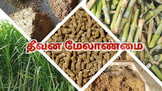 மாட்டு தீவன மேலாண்மை mattu theevanam melanmai Episode  1 [upl. by Olzsal84]