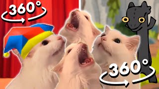 360° Cat MEOW but Meme Music [upl. by Aidile17]