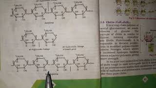 Biology First Year polysaccharide Macro Molecules [upl. by Anirec]