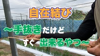 【ロープワーク】ピンと張る自在結びの簡単バージョンと正式バージョンを動画にしました。 [upl. by Ellerret121]