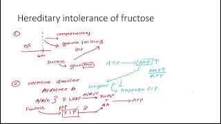 Hereditary intolerance of fructose [upl. by Aicined]