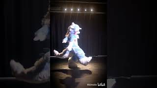 【Fursuit Dance】修比Hubie  Toa Patchwork Staccato [upl. by Scales802]