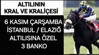 6 Kasım 2024 İstanbul Elazığ Altılı tahminleri Altılı ganyan Altılı yorumları Tjk [upl. by Arah]