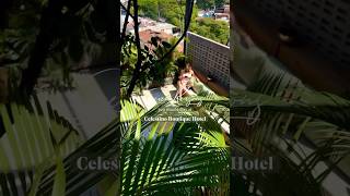 7 Reasons to stay at Celestino Boutique Medellin colombia travelcolombia medellin [upl. by Holey]