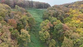 Fall Colors Ellijay GA November 2024 [upl. by Alamat344]