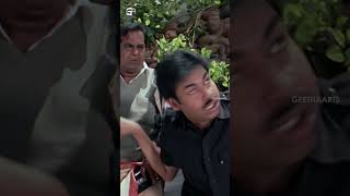 Jalsa Movie Scenes  pawankalyan ileanadcruz prakashraj brahmanandam  shortsvideo shorts [upl. by Ecirum]