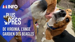 Virginia Mouseler sauve des beagles de laboratoire [upl. by Bram]